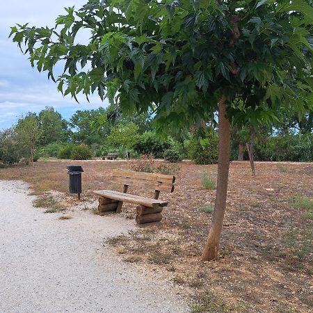 Studio Proche De Perpignan Peyrestortes Экстерьер фото